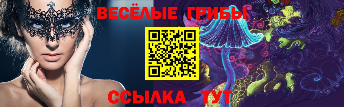 Галлюциногенные грибы прущие грибы Соль-Илецк