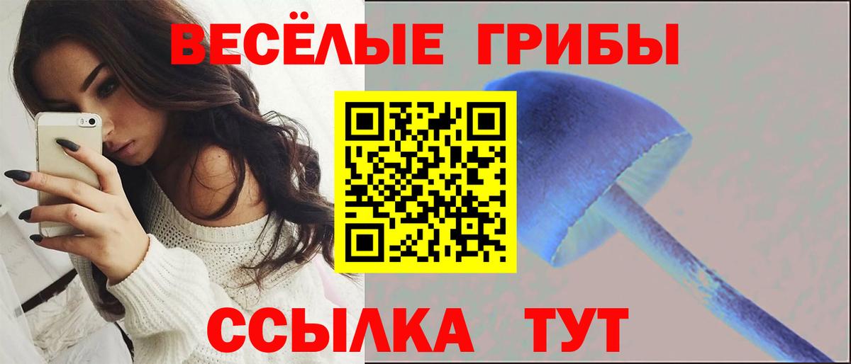 Соль-Илецк  Псилоцибиновые грибы прущие грибы  Галлюциногенные грибы мухоморы  Вход с VPN 